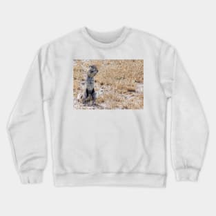 Squirrel. Crewneck Sweatshirt